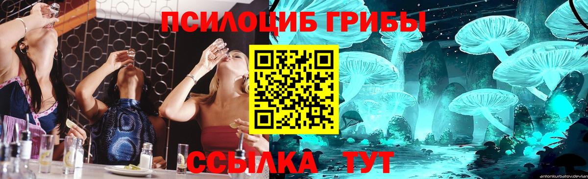 Псилоцибиновые грибы Cubensis  Вход с VPN  Галлюциногенные грибы мухоморы  Находка 